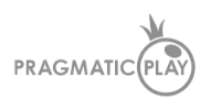 Mefleet partner logo